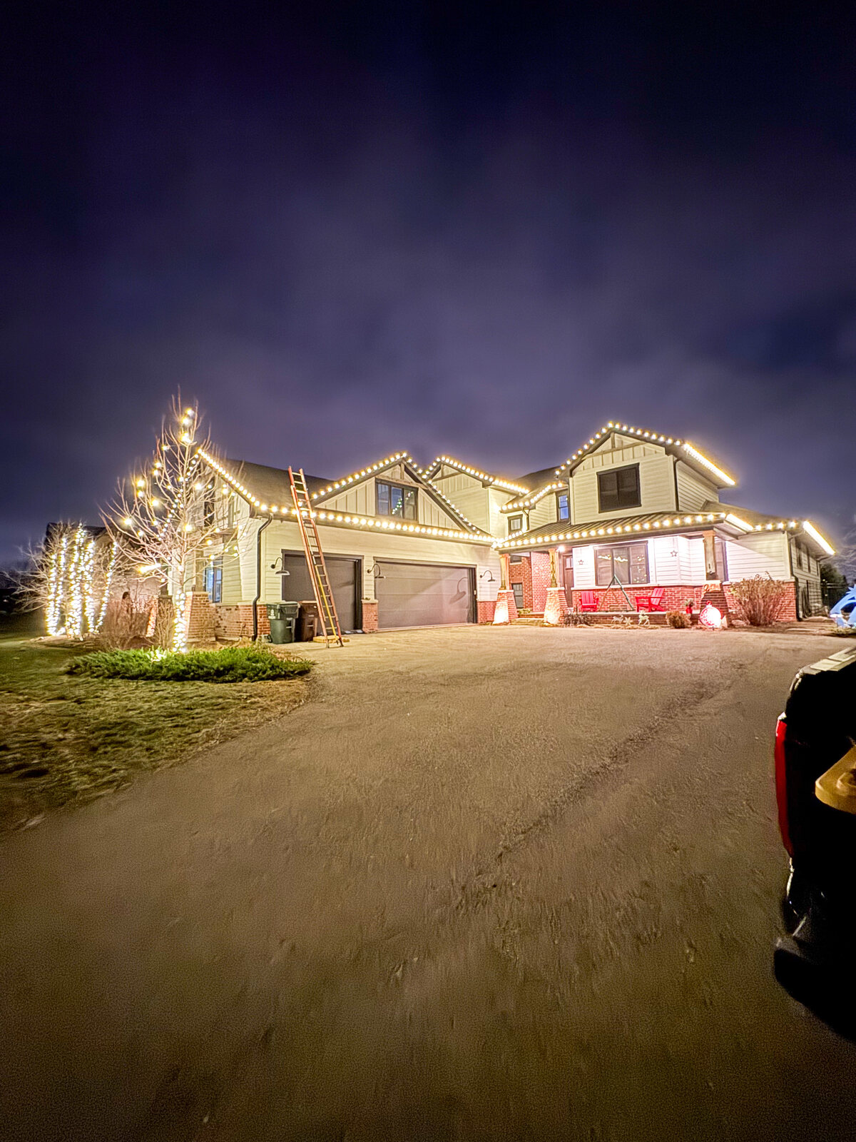 Large Chicagoland property with warm white roofline, tree, and landscape lighting